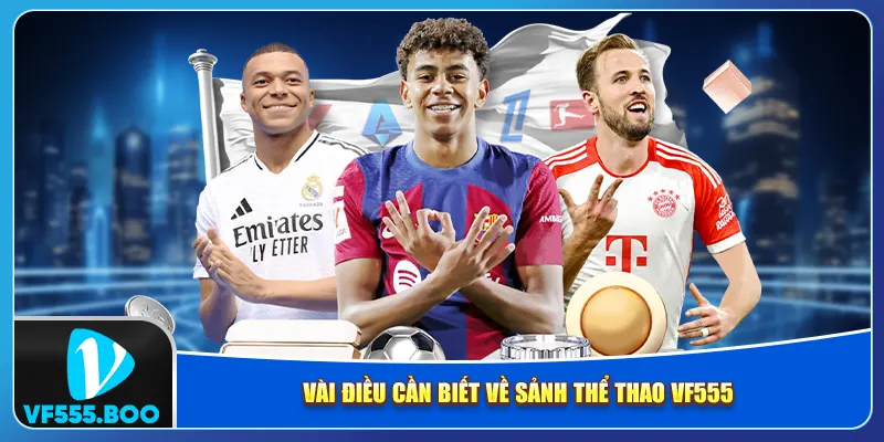 Vài điều cần biết về sảnh thể thao VF555